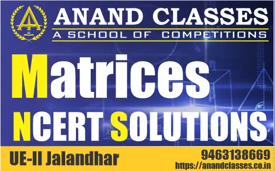 Matrices NCERT Solutions Class 12 Maths Chapter 3 Exercise 3.1, 3.2, 3.3, 3.4, 3.5 Miscellaneous Free pdf Notes Study Material download-Anand Classes